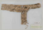 Papyrus, image 2/2