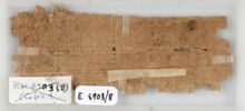 Papyrus, image 1/2