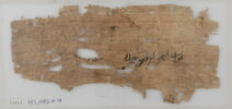 Papyrus, image 2/2