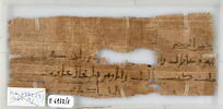 Papyrus, image 2/2