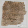 Papyrus, image 2/2