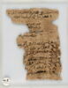 Papyrus, image 1/2
