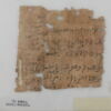 Papyrus, image 1/2