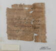 Papyrus, image 2/2