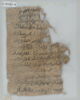 Papyrus, image 1/2