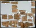 Papyrus, image 1/2