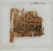 Papyrus, image 2/2