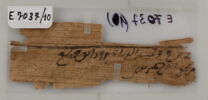 Papyrus, image 1/2
