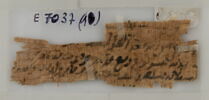 Papyrus, image 2/2