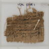 Papyrus, image 1/2