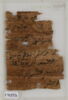 Papyrus, image 1/2
