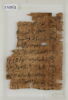 Papyrus, image 2/2