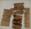Papyrus, image 2/2