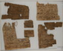 Papyrus, image 1/2