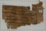 Papyrus, image 1/2