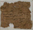 Papyrus, image 2/2
