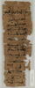 Papyrus, image 2/2