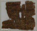 Papyrus, image 1/2
