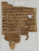 Papyrus, image 1/2