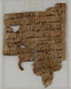 Papyrus, image 2/2