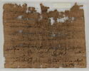 Papyrus, image 2/2