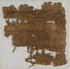 Papyrus, image 2/2