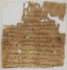 Papyrus, image 1/2