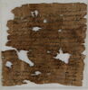 Papyrus, image 1/2