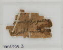 Papyrus, image 2/2