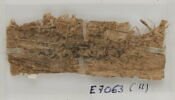 Papyrus, image 2/2