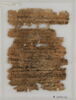 Papyrus, image 1/2