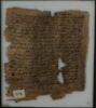 Papyrus, image 1/2