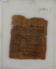 Papyrus, image 1/2