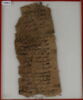 Papyrus, image 1/2