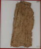 Papyrus, image 2/2