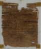 Papyrus, image 2/2