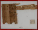 Papyrus, image 1/2