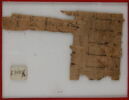Papyrus, image 2/2