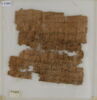 Papyrus, image 1/2