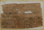 Papyrus, image 1/2