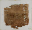 Papyrus, image 2/2