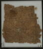Papyrus, image 2/2