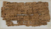 Papyrus, image 2/2