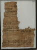 Papyrus, image 1/2