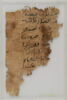 Papyrus, image 1/2