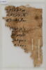 Papyrus, image 2/2