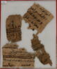 Papyrus, image 1/2