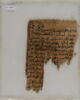 Papyrus, image 1/2