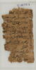 Papyrus, image 1/2
