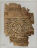 Papyrus, image 1/2